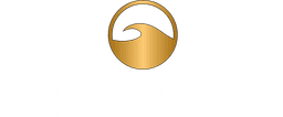 WIN Whisky Import logo