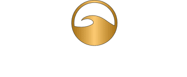 WIN Whisky Import logo